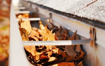 Downall Green gutter cleaning companies